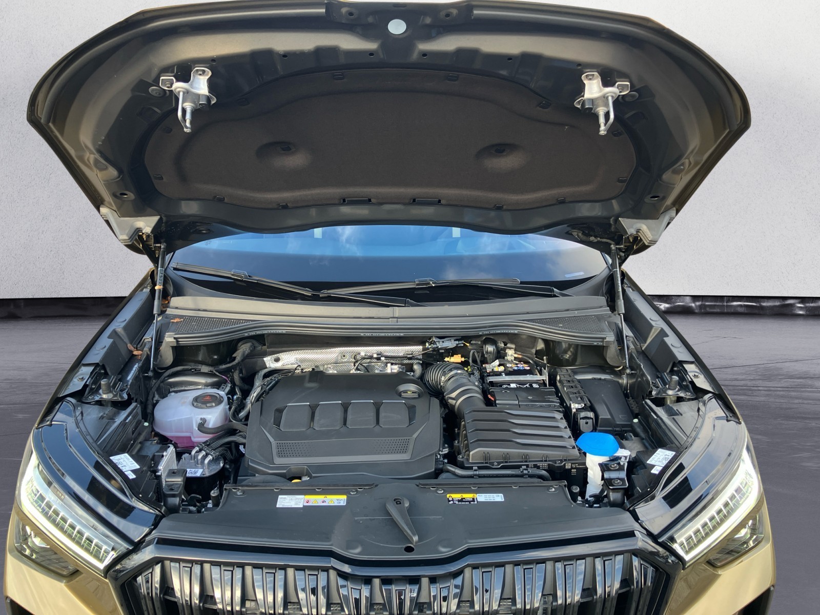 Skoda - Kodiaq Sportline 2,0 TDI 7-Gang-D