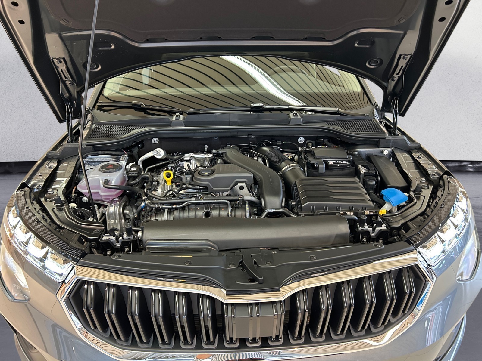Skoda - Kamiq Drive 1,5 TSI 7-Gang-DSG