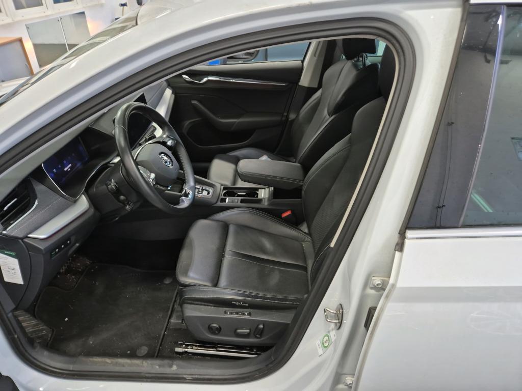 Skoda - Octavia