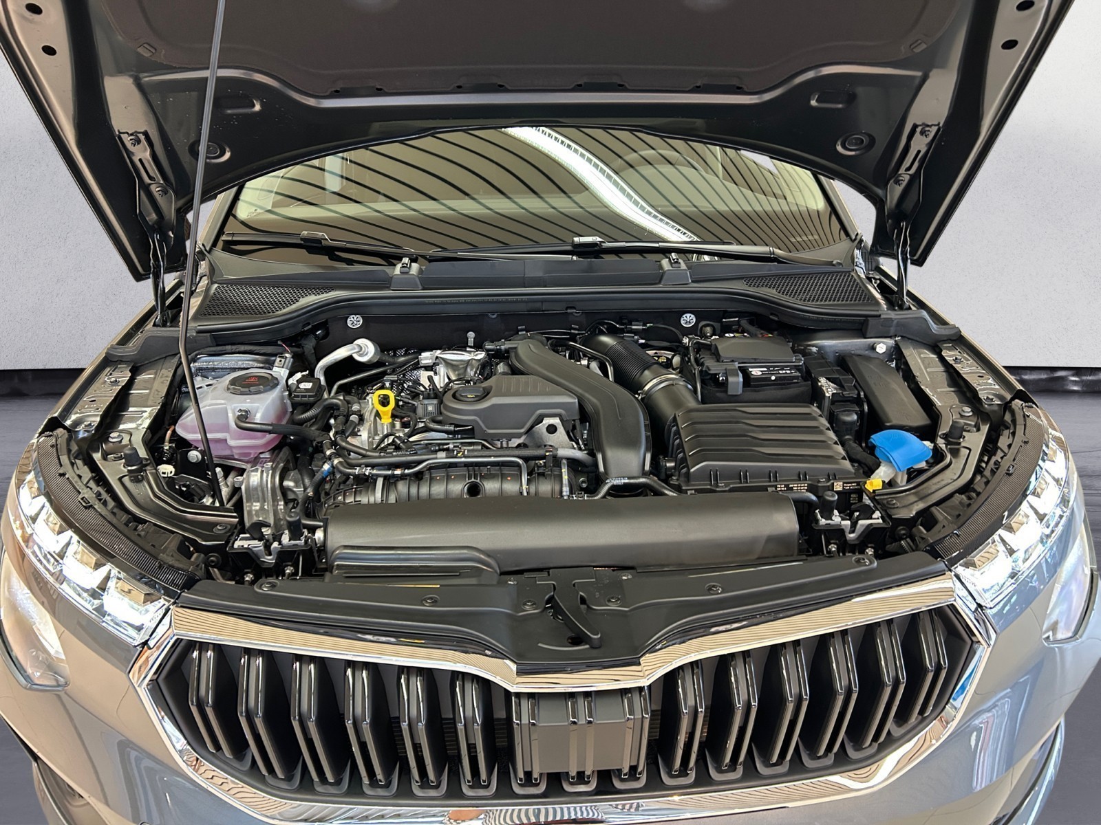 Skoda - Kamiq Drive 1,5 TSI 7-Gang-DSG
