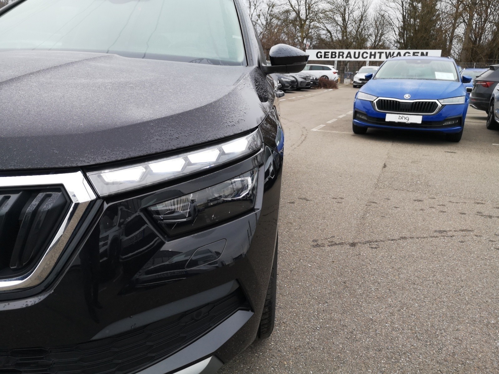 Skoda - Kamiq Clever 1,0 TSI DSG