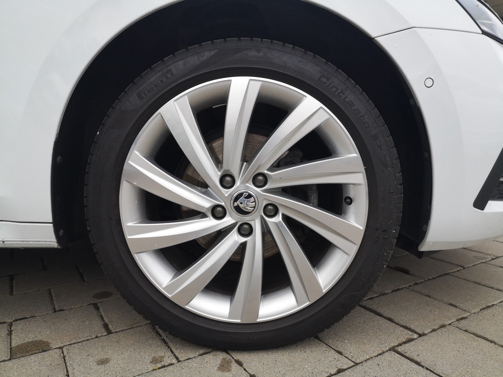 Skoda - Octavia