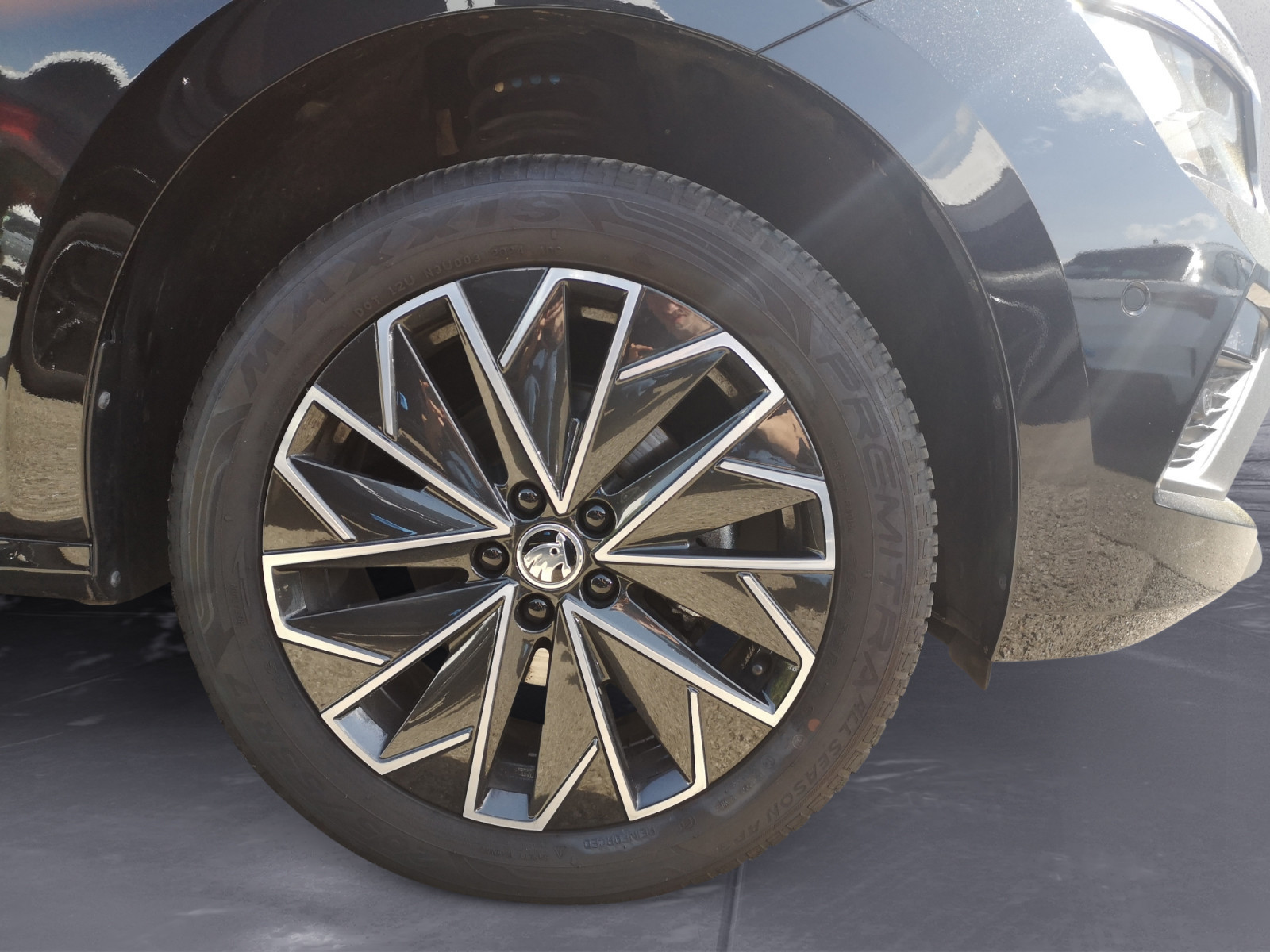 Skoda - Kamiq 1.0 TSI DSG Drive
