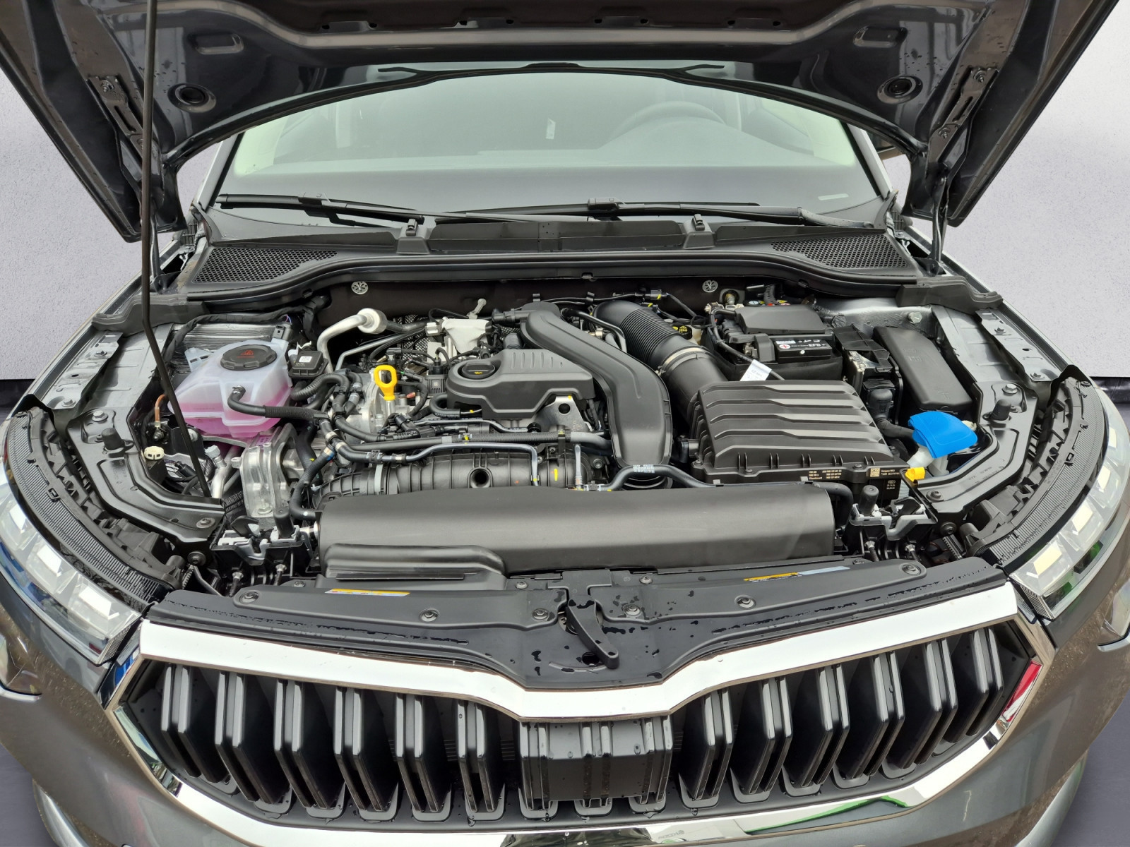 Skoda - Kamiq Drive 1,5 TSI 7-Gang-DSG