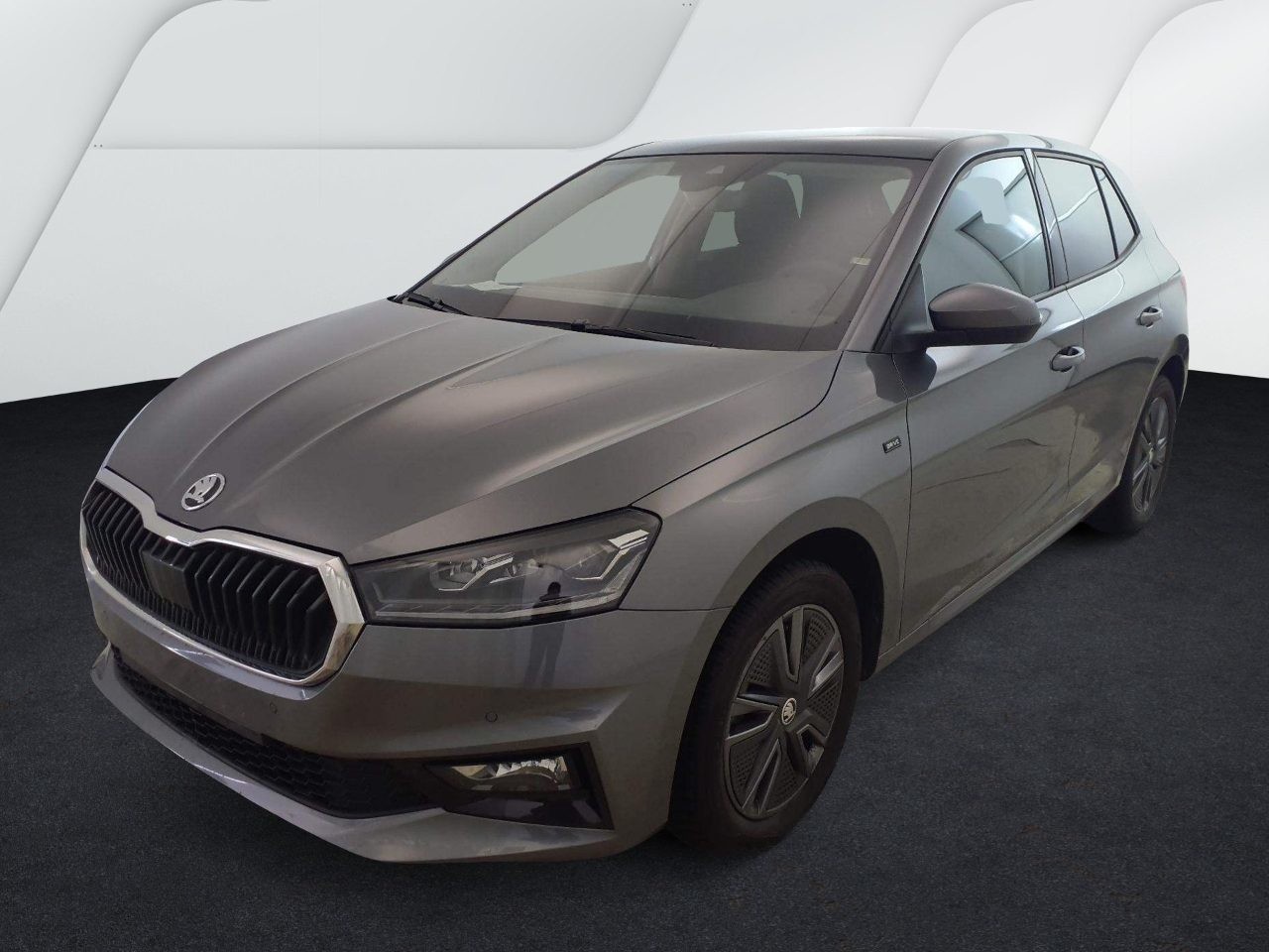 Skoda - Fabia 1.0 TSI DSG *SELECTION*