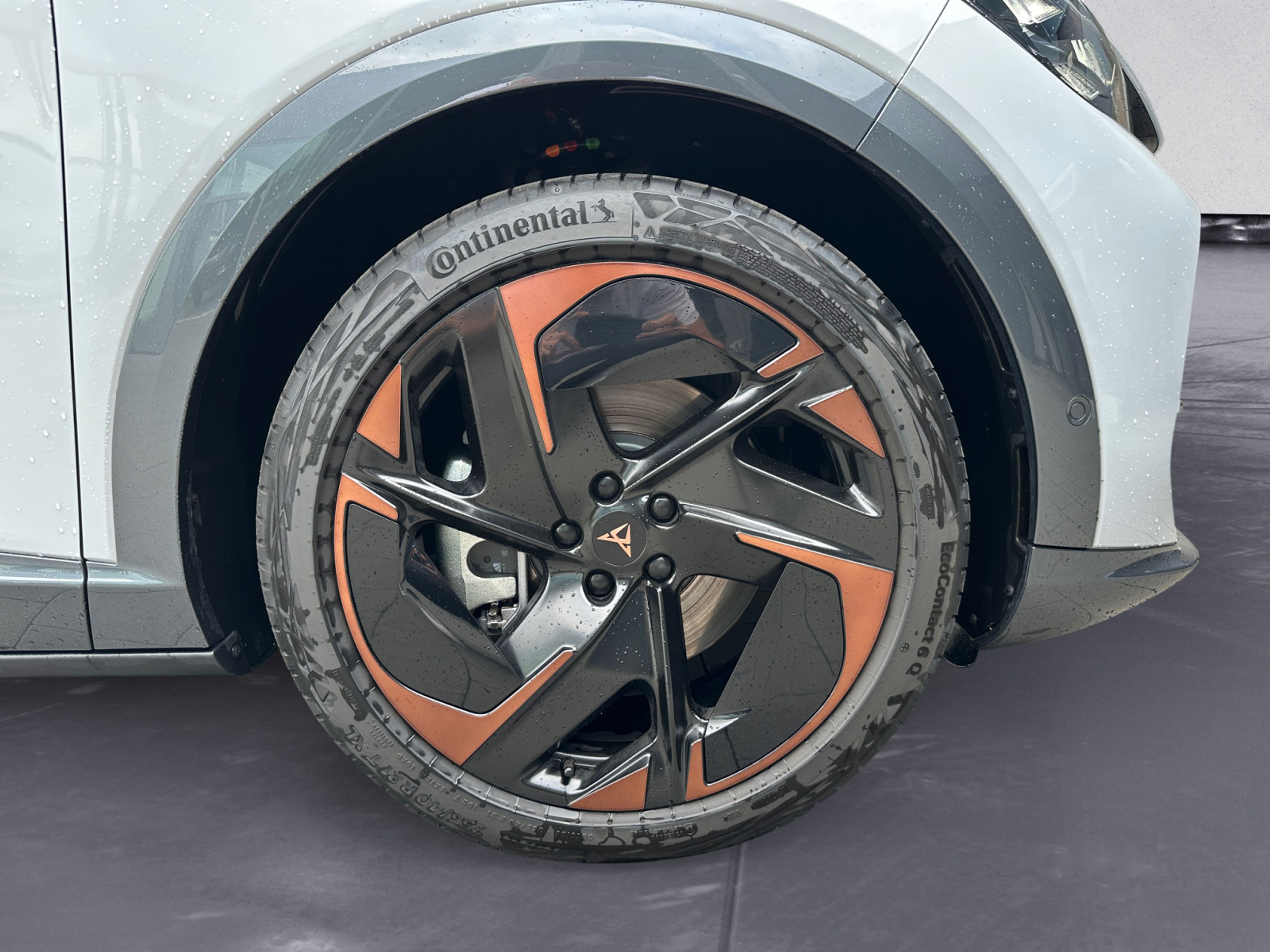 Cupra - Tavascan Endurance 