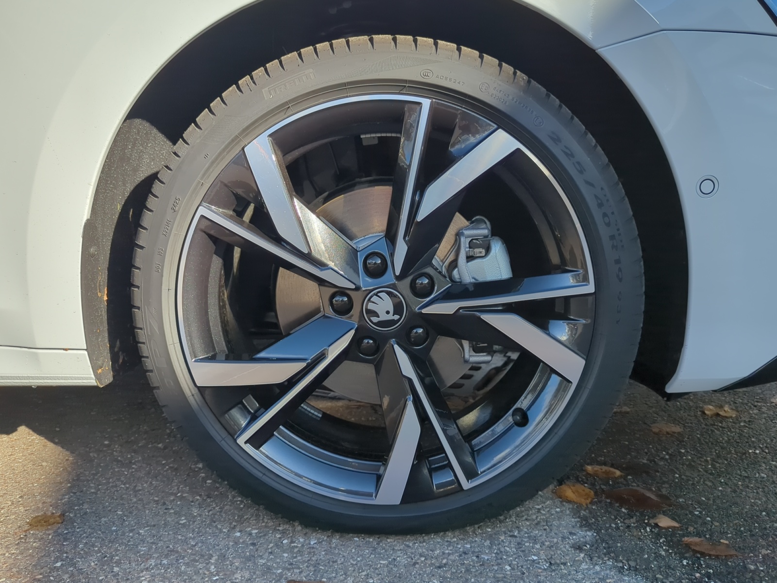 Skoda - Octavia Combi Sportline 1,5 TSI mHEV 7-Gang-DSG