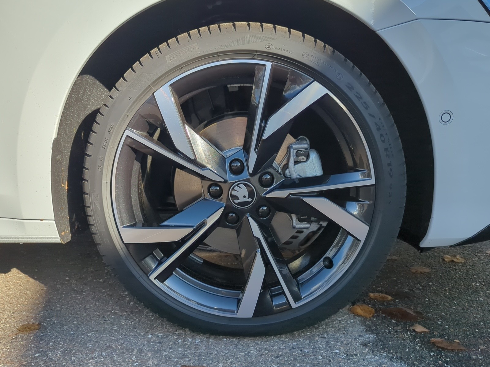 Skoda - Octavia Combi Sportline 1,5 TSI mHEV 7-Gang-DSG