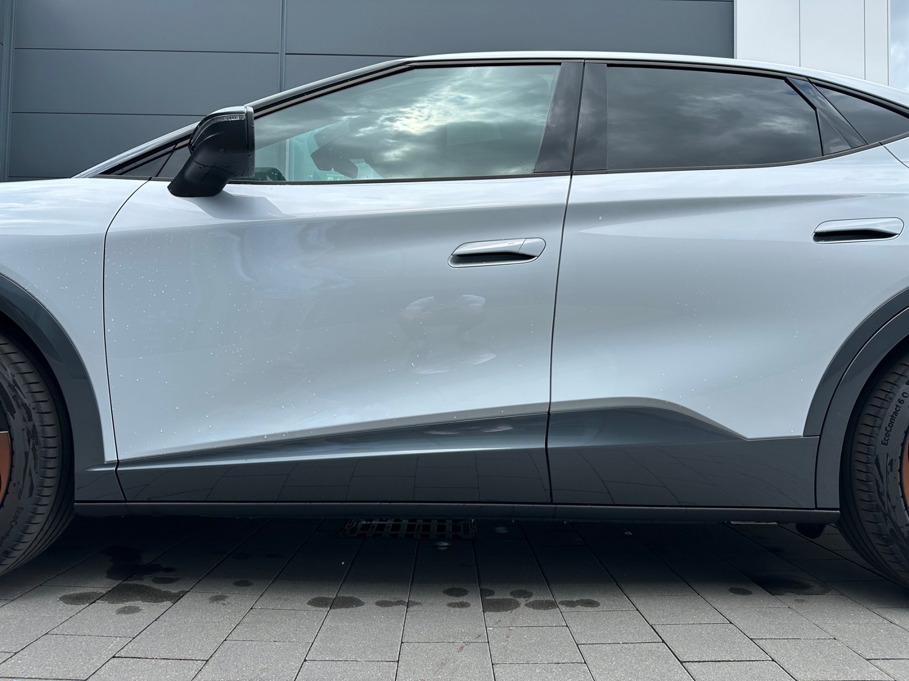 Cupra - Tavascan Endurance 