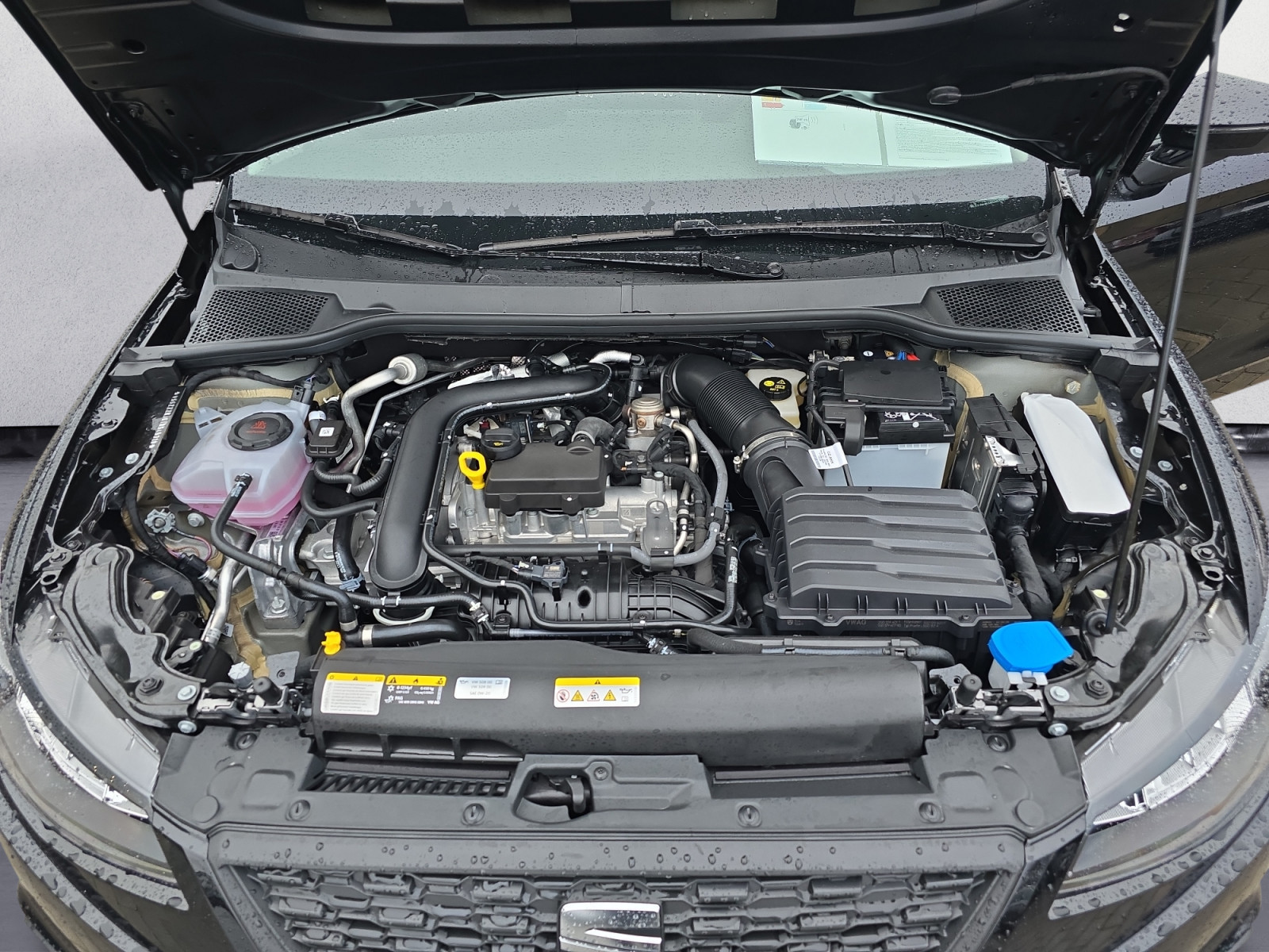 Seat - Ibiza Road Edition 1.0 TSI  6-Gang